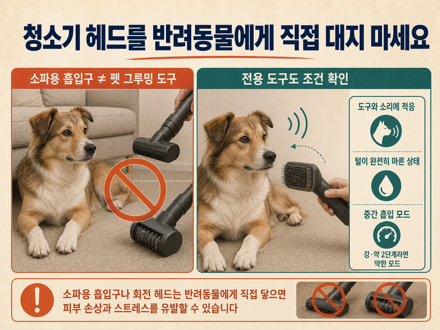 반려동물에게 청소기 헤드를 직접 대지 않는 안전 수칙