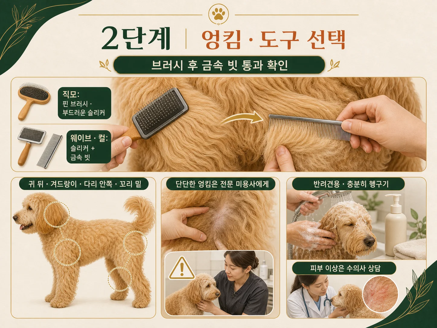 골든두들 엉킴 관리에 맞는 슬리커 브러시와 반려견용 샴푸 선택 기준