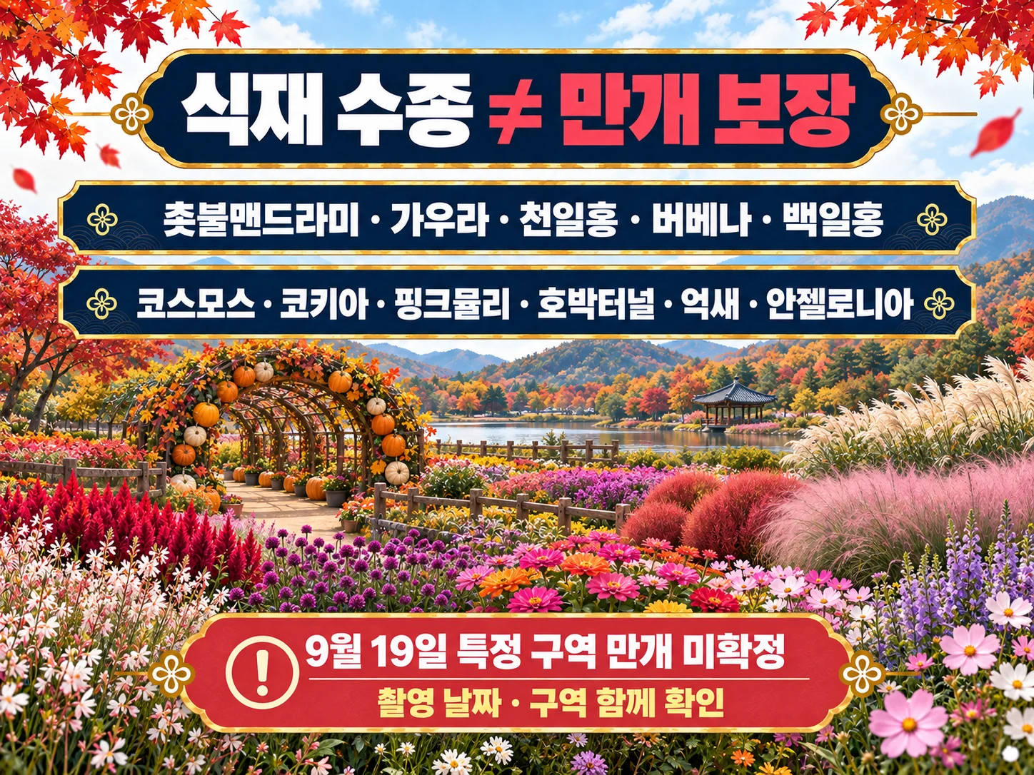 고석정 꽃밭 가을꽃 개화와 식재 수종 안내